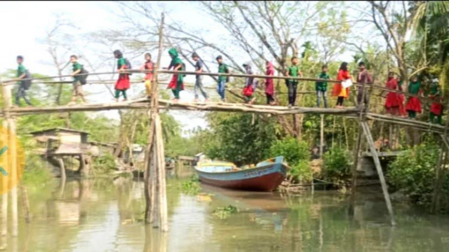 বানারীপাড়ায় ঝুঁকি নিয়ে শিশু শিক্ষার্থীদের বাঁশের সাঁকো পারাপার